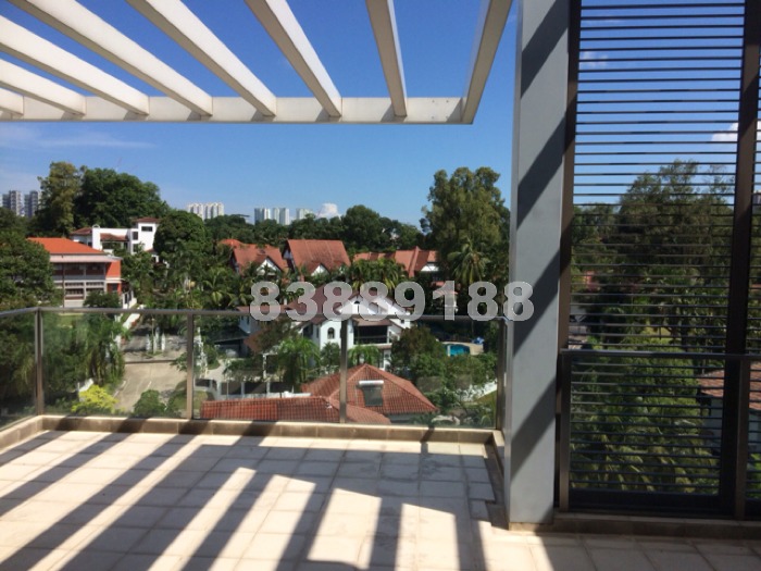 Verdure thumbnail photo